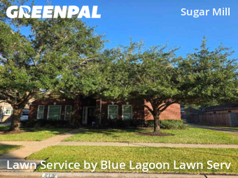 Lawn Carein Sugar Land,77498,Lawn Service by Blue Lagoon Lawn Serv, work completed in Dec , 2025
