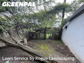 Lawn Service nearby Oak Park, IL, 