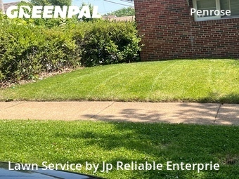 Lawn Maintenance nearby St. Louis, IL, 