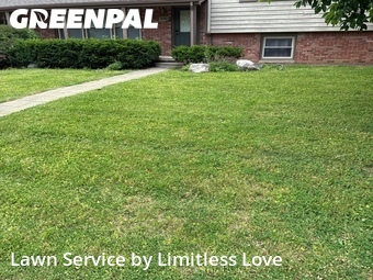 Grass Cut nearby West Lafayette, IN, 
