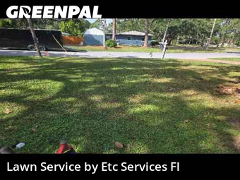 Lawn Mowing Servicein Dunedin,34698,Yard Mowing by Etc Services Fl, work completed in Dec , 2025
