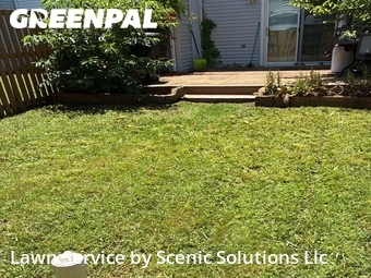 Grass Cut nearby Middle River, MD, 