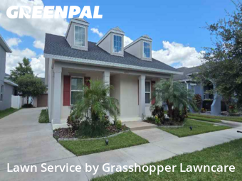 Grass Cut nearby Wesley Chapel, FL, 