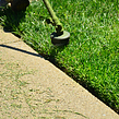 the-yard-cutting-businesses-in-Abilene-TX