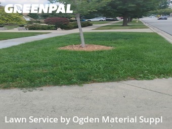 Lawn Service nearby Elmhurst, IL, 