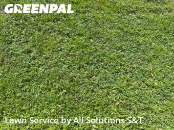 Lawn Cutting nearby Winter Haven, FL, 