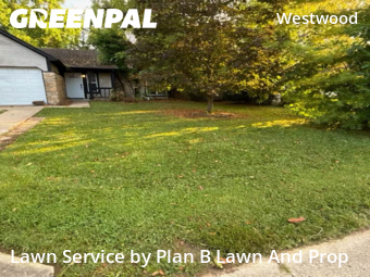 Lawn Cutting nearby Indianapolis, IN, 