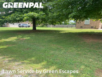 Lawn Care Service nearby Rockvale, TN, 