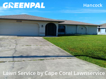 Grass Cut nearby Cape Coral, FL, 