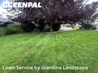 Grass Cutting nearby Nampa, ID, 