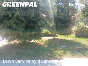 Lawn Care nearby San Antonio, TX, 