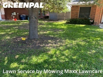 Lawn Cut nearby Hutto, TX, 