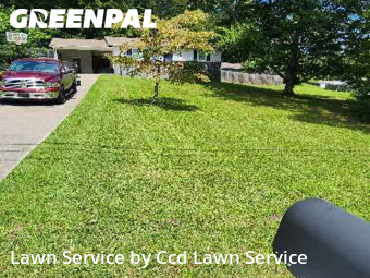 Lawn Mow nearby Knoxville, NC, 