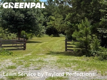 Yard Cutting nearby Toomsboro, GA, 