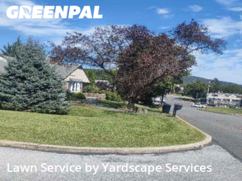 Lawn Services in Reading, 19606, Lawn Services by Yardscape Services, work completed in Nov , 2025