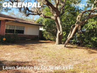 Lawn Cut nearby Holiday, FL, 