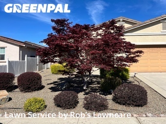 Grass Cutting nearby Sacramento, CA, 