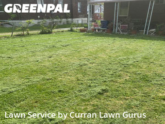 Grass Cut nearby St. Louis, IL, 