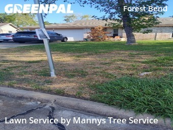 Lawn Cut nearby Friendswood, TX, 