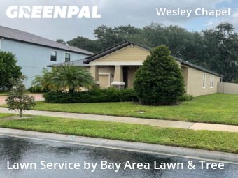 Lawn Maintenance nearby Wesley Chapel, FL, 