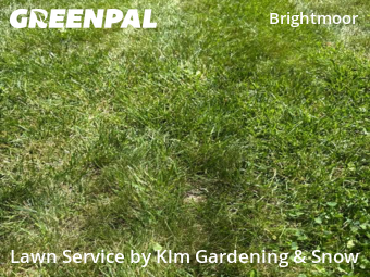 Lawn Mowing Service nearby Detroit, MI, 