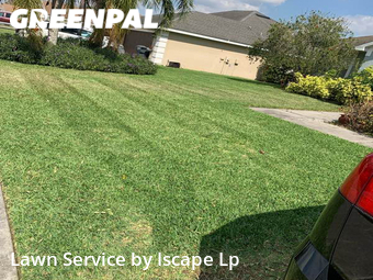 Grass Cutting nearby Lakeland, FL, 