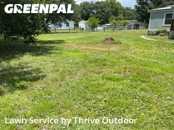 Lawn Cut nearby Wesley Chapel, FL, 