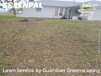 Lawn Cut nearby Cape Coral, FL, 