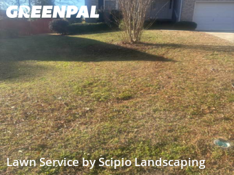 Lawn Care Service nearby Columbia, SC, 