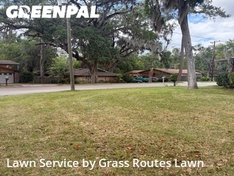 Lawn Cut nearby Ocala, FL, 