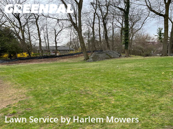 Lawn Mow nearby New Rochelle, NY, 