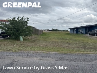 Lawn Cut nearby Harlingen, TX, 
