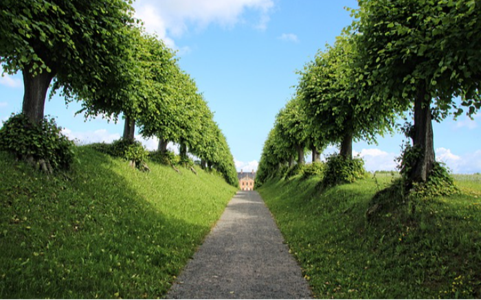 Work Image 4