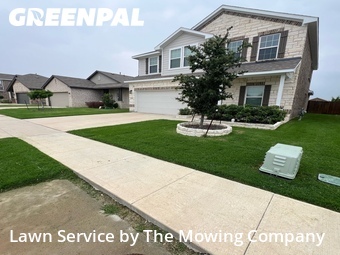 Lawn Cut nearby Forney, TX, 