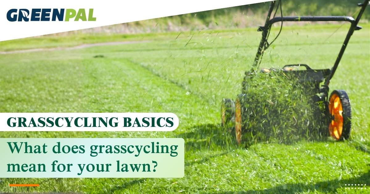 What is Grasscycling? Benefits, Tips, and How It Works(2026)