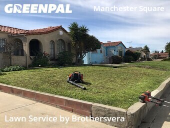 Work completed by grass-trimming-service-in-Los Angeles-CA