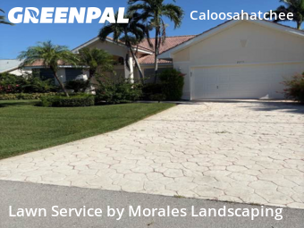 Lawn Cut nearby Cape Coral, FL, 
