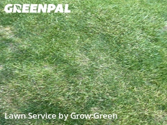 Lawn Cutting nearby Wauwatosa, WI, 