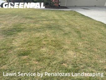 Lawn Mowing nearby Lawrenceville, GA, 