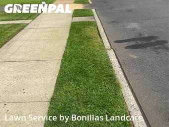 Grass Cut nearby Union, NJ, 