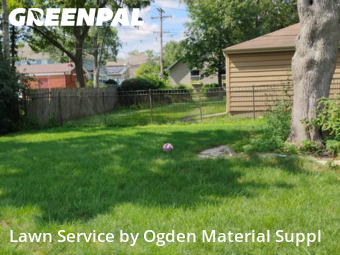 Lawn Care nearby Elmhurst, IL, 