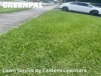 Lawn Carein Plantation,33317,Lawn Mow by Caidens Lawncare , work completed in Jun , 2026