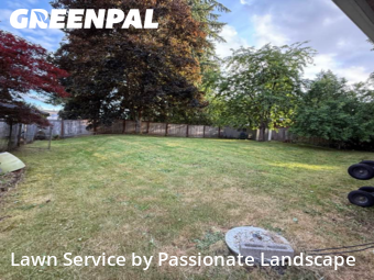 Grass Services in Lacey, 98503, Yard Work by Passionate Landscape, work completed in Nov , 2025