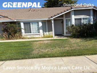 Work completed by yard-maintenance-professionals-in-Roseville-CA