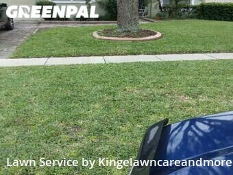 Lawn Care nearby Clermont, FL, 