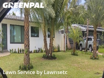 Lawn Cut nearby Wilton Manors, FL, 