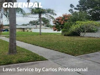 Lawn Service nearby St. Petersburg, FL, 