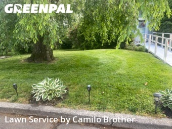 Lawn Maintenance nearby Danbury, CT, 