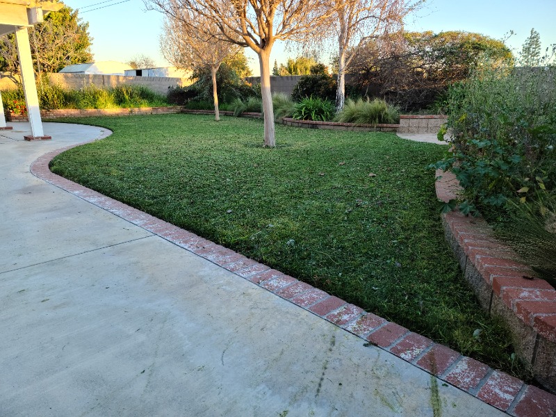 Daniel's Silent Trea Lawn Care Services in Westminster, CA