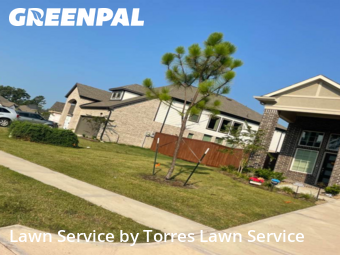 Grass Cutting nearby Conroe, TX, 